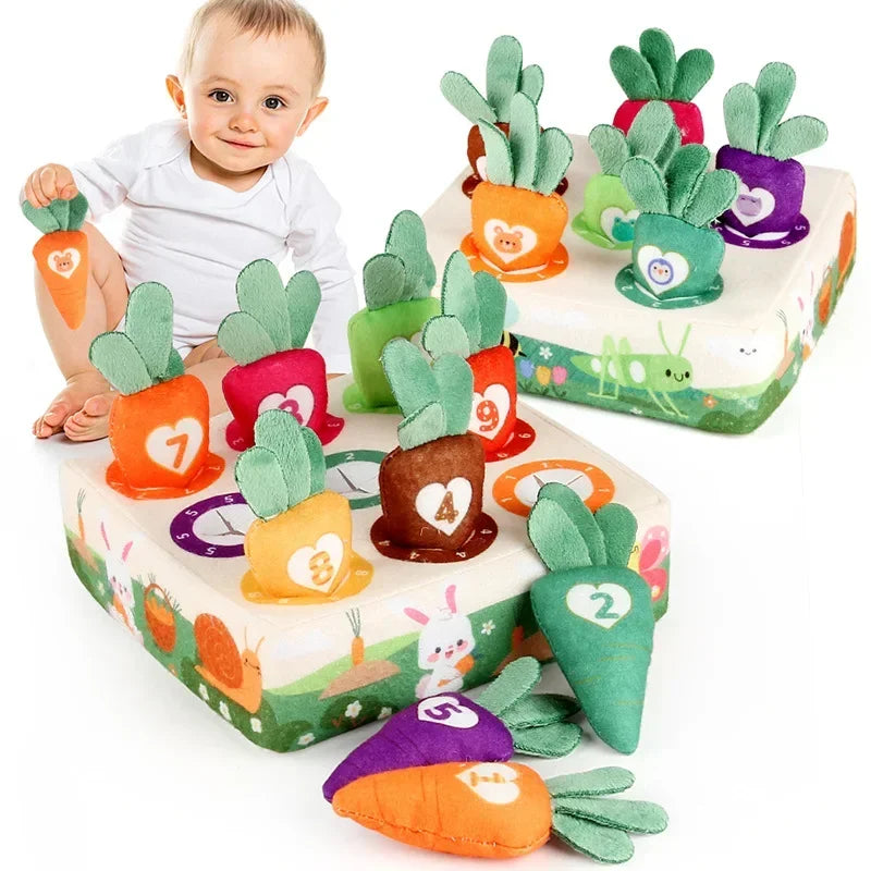 Gioco della Raccolta delle Carote Montessori