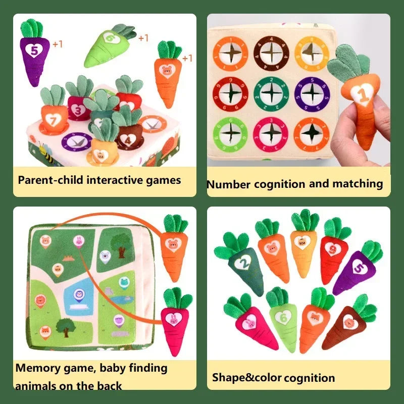 Gioco della Raccolta delle Carote Montessori