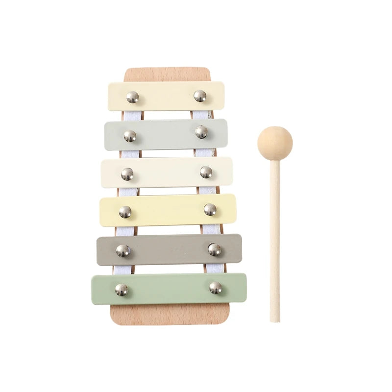 Set Strumenti Musicali Tamburo e Xilofono