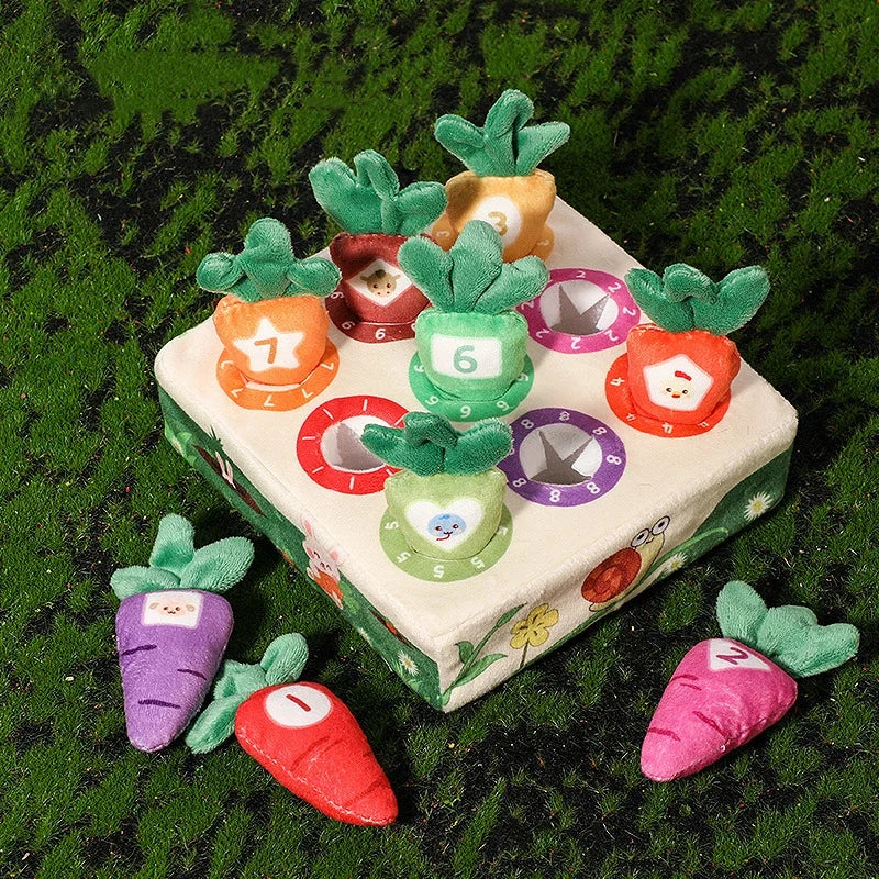 Gioco della Raccolta delle Carote Montessori