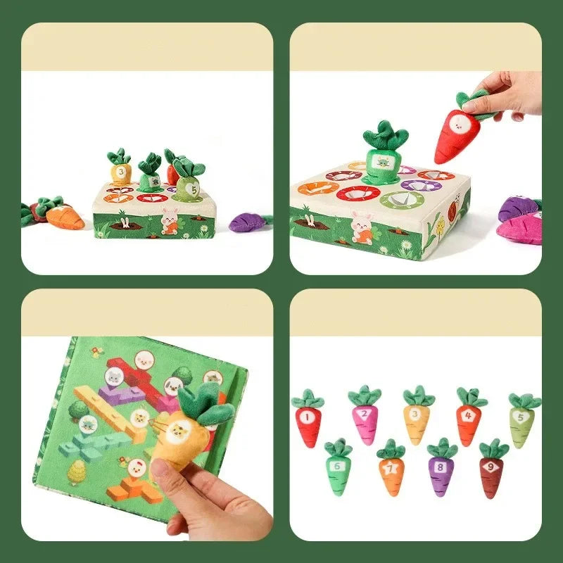 Gioco della Raccolta delle Carote Montessori